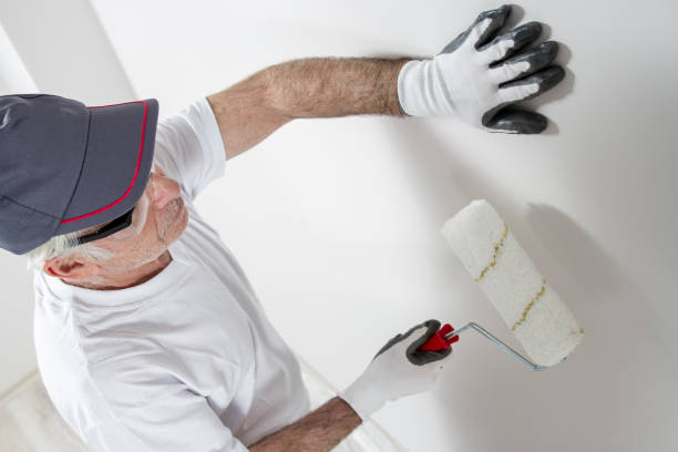 Trusted Pleasant Hills, PA Mold Removal Experts